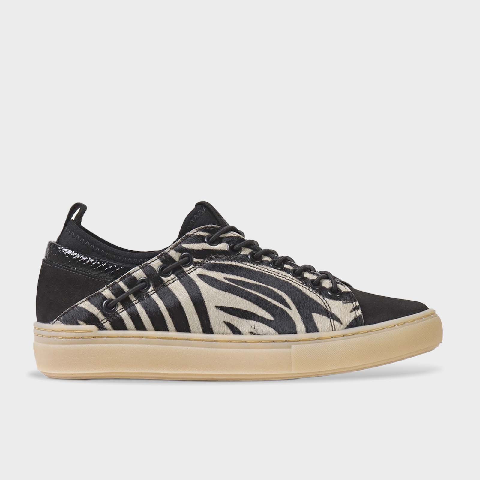 Champión Furtiva Glow Acordonado Animal Print